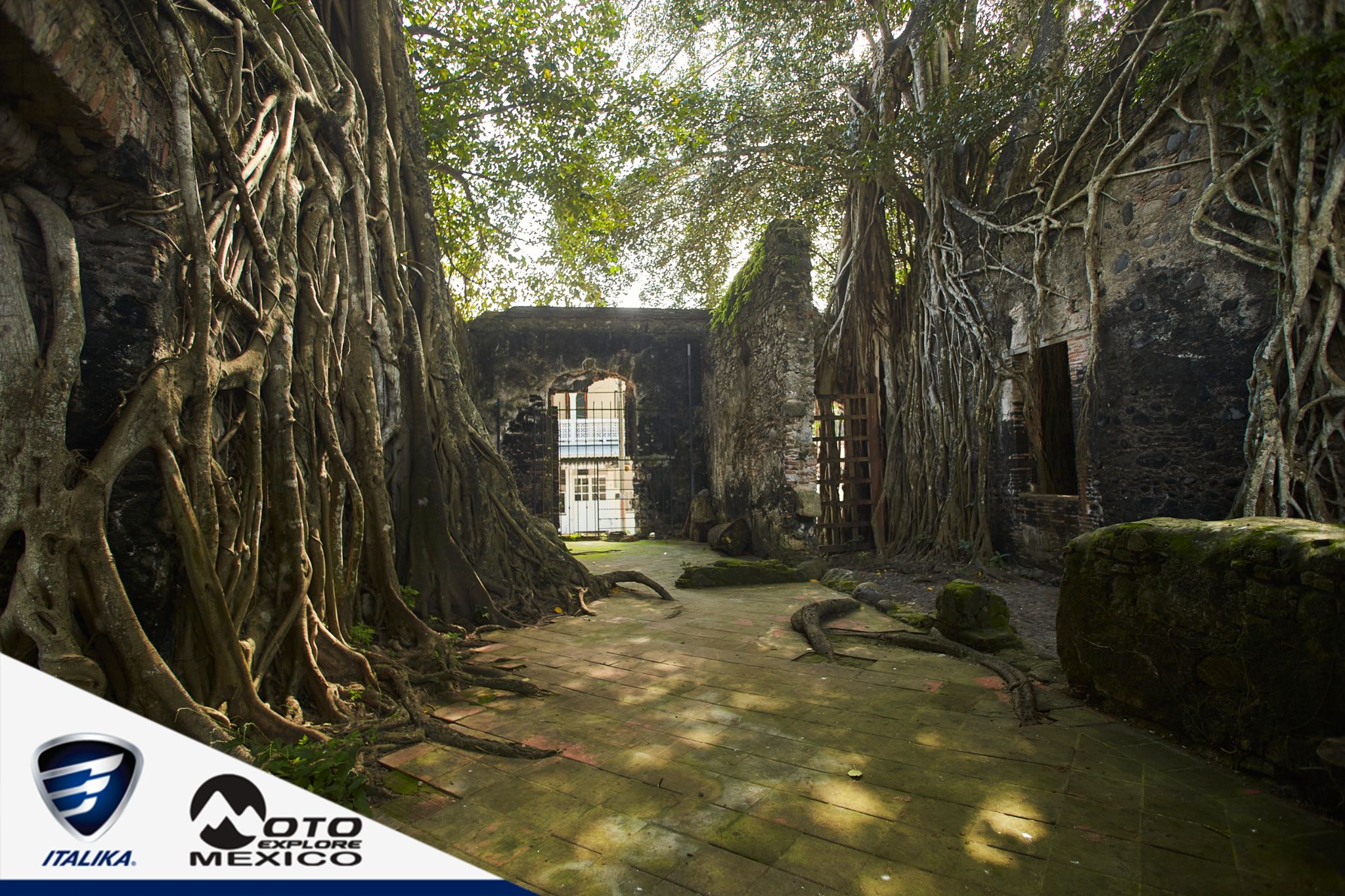 ITALIKA CHACHALACAS D1 266